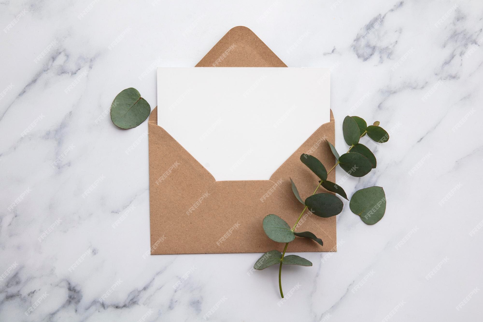 Carte Blanche Vierge Et Enveloppe Avec Des Feuilles D'eucalyptus Invitation  Vierge