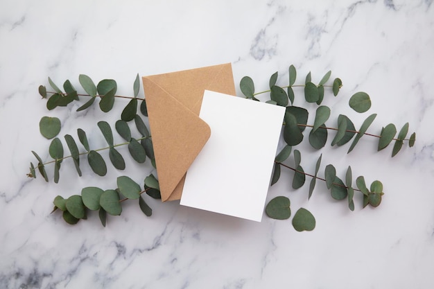 Carte blanche vierge et enveloppe avec des feuilles d'eucalyptus invitation vierge