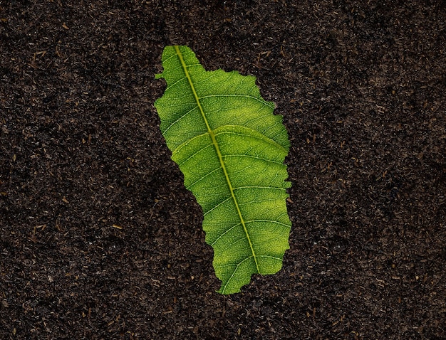 Carte de la Dominique faite de feuilles vertes sur le concept d'écologie de fond de sol