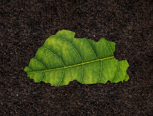 Carte du bhoutan faite de feuilles vertes sur le concept d'écologie de fond de sol