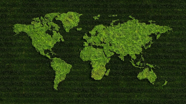 Carte du monde sur le rendu 3D de fond d'herbe