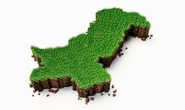 Carte du Pakistan Illustration 3d de la texture de l'herbe et du sol