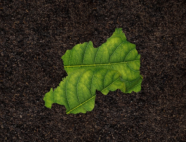 Carte du Rwanda faite de feuilles vertes sur le concept d'écologie de fond de sol