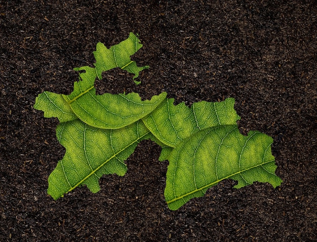 Carte du Tadjikistan faite de feuilles vertes sur le concept d'écologie de fond de sol