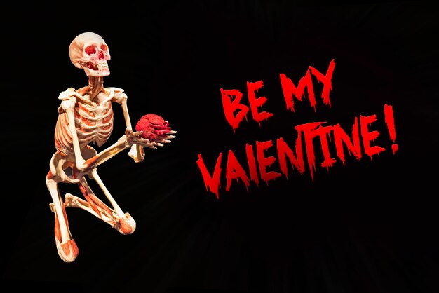 Carte effrayante, mon squelette de la Saint-Valentin garde son cœur isolé sur un fond noir, la vie, l'amour et la mort...