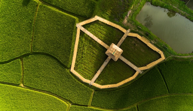 Photo carte de ferme de riz