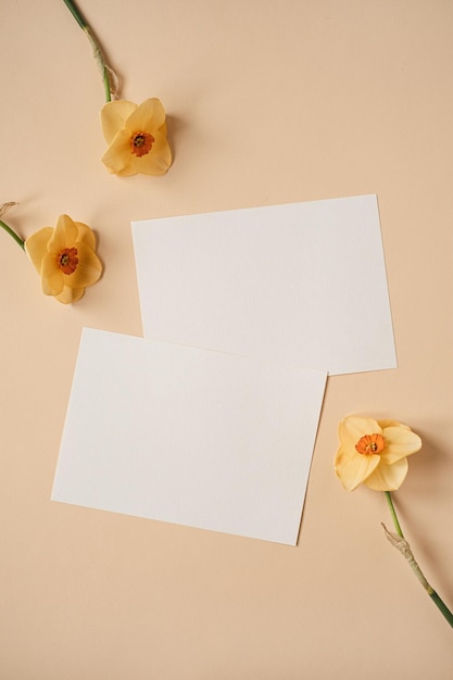 Photo carte de feuille de papier vierge avec espace de copie de maquette et fleurs de narcisse sur fond de pêche poussiéreux neutre modèle de marque d'entreprise esthétique minimal vue de dessus à plat