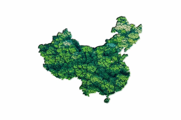 Carte de la forêt verte de Chine, sur fond blanc