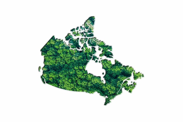 Carte de la forêt verte du Canada, sur fond blanc