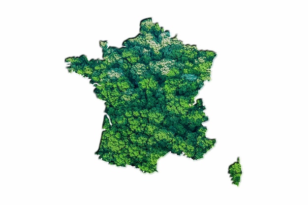 Carte de la forêt verte de France, sur fond blanc