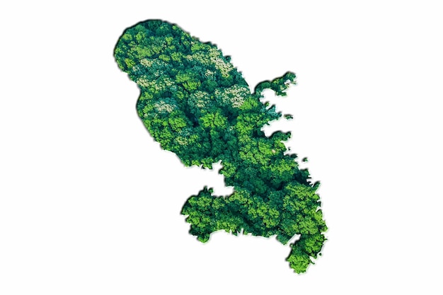 Carte de la forêt verte de la Martinique, sur fond blanc