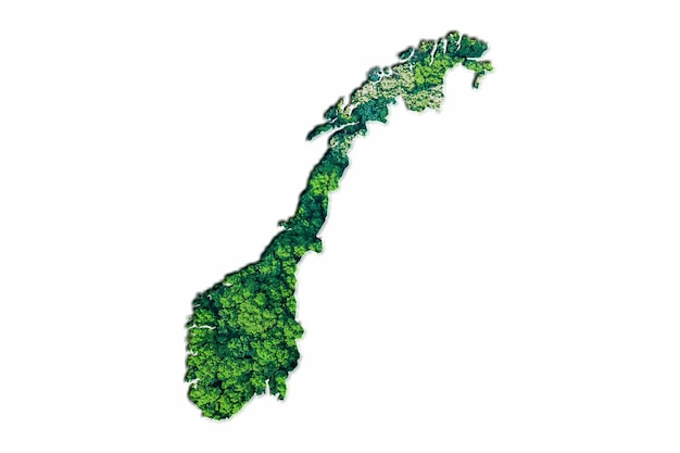 Carte de la forêt verte de la Norvège, sur fond blanc