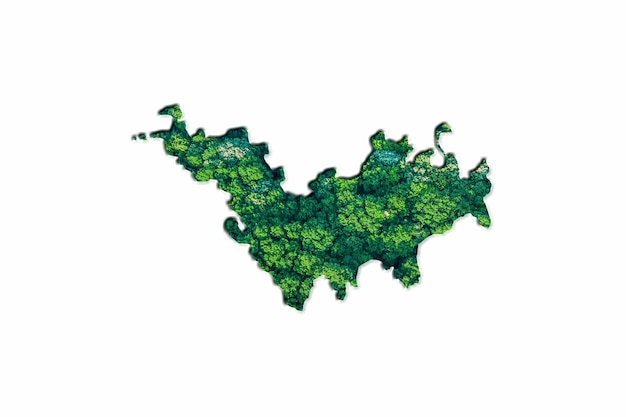 Carte de la forêt verte de Saint Barthelemy, sur fond blanc