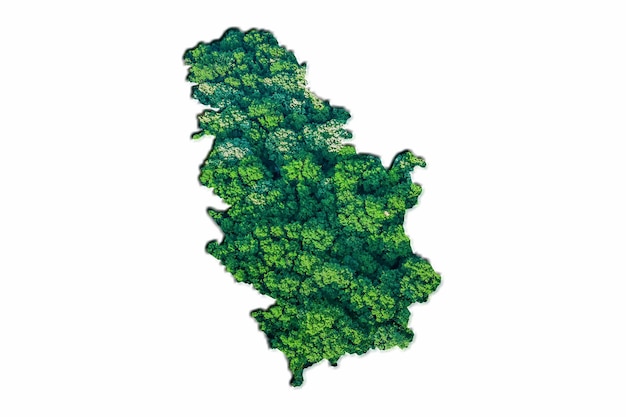 Carte de la forêt verte de la Serbie, sur fond blanc