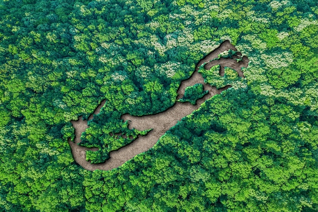 Carte de l'habitat durable des Bermudes, concept d'environnement