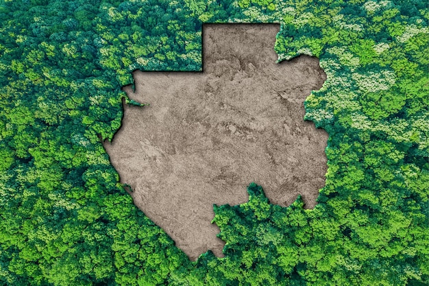 Carte de l'habitat durable du Gabon, concept d'environnement