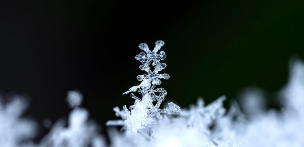 carte d'hiver cristaux de neige hiver photo