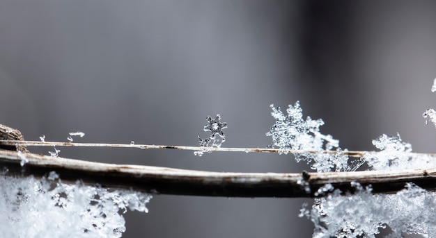 carte d'hiver, cristaux de neige, photo d'hiver