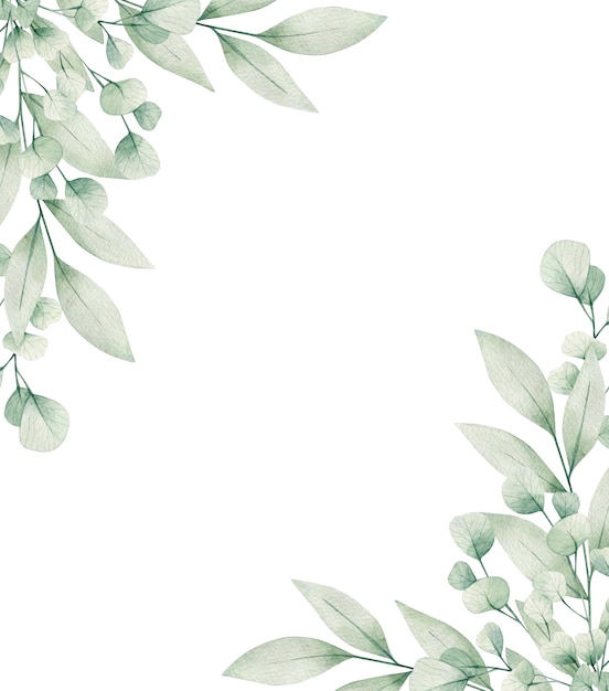Carte d'illustration aquarelle cadre de branches d'eucalyptus. Isolé sur fond blanc. Dessiné à la main.