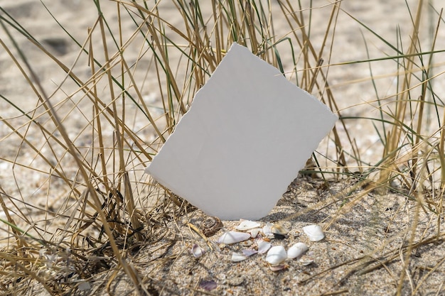 Carte d'invitation de mariage Vue sur l'océan Mer Coquillages et fond de sable Feuille de papier blanche