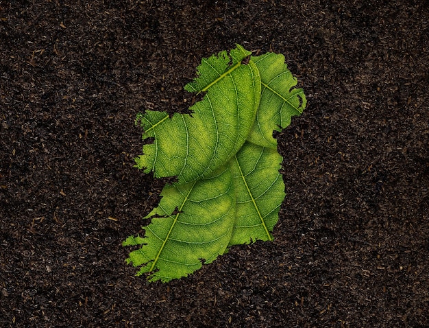 Carte de l'irlande faite de feuilles vertes sur le concept d'écologie de fond de sol