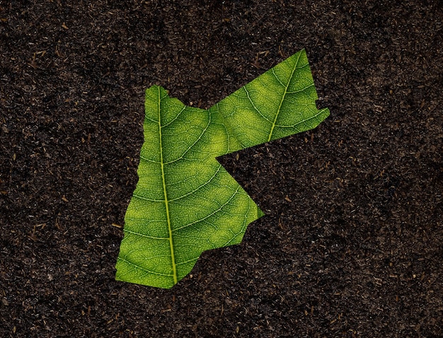 Carte de la Jordanie faite de feuilles vertes sur le concept d'écologie de fond de sol