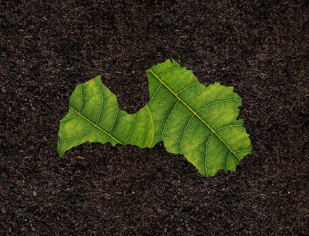 Carte de la Lettonie faite de feuilles vertes sur le concept d'écologie de fond de sol