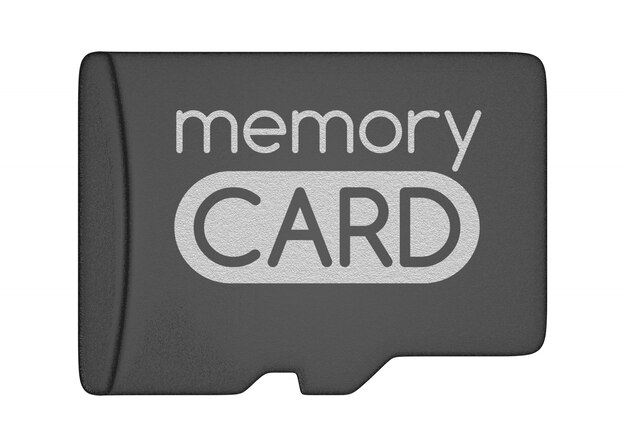 Carte mémoire MicroSD.