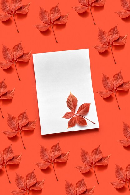 Carte postale d'automne de voeux avec du papier blanc vierge et des feuilles de vigne organiques rouges