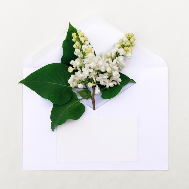 Carte postale minimaliste avec un brin de lilas blanc dans une enveloppe