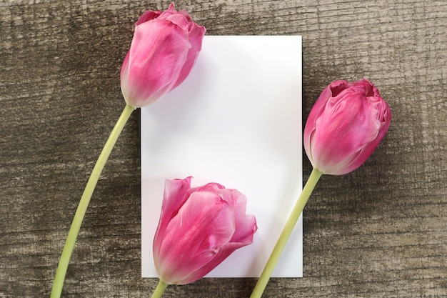 Carte postale pour la journée de la femme le 8 mars avec des tulipes