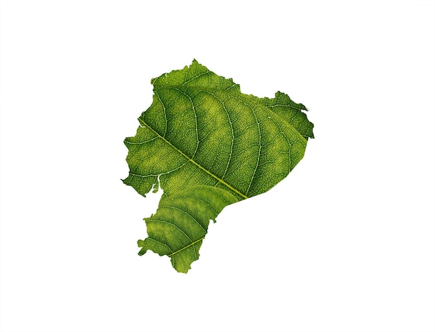 Carte de l'Équateur faite de feuilles vertes concept écologie Carte feuille verte sur fond de sol