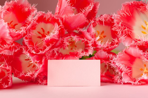 Carte vide en fleurs de tulipes roses sur une surface rose