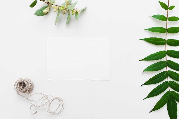Photo carte vierge avec de la ficelle et des feuilles vertes