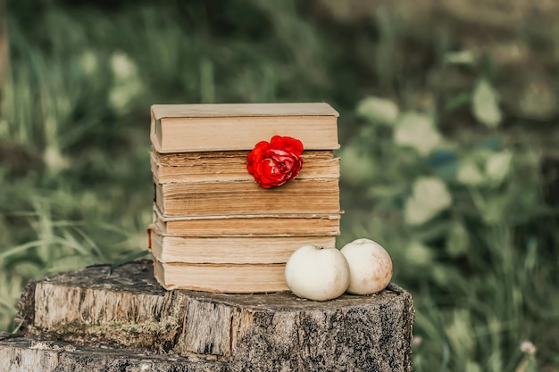 Carte vintage avec pile de vieux livres et fleur rose à l'extérieur