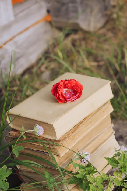 Carte vintage avec pile de vieux livres et fleur rose à l'extérieur