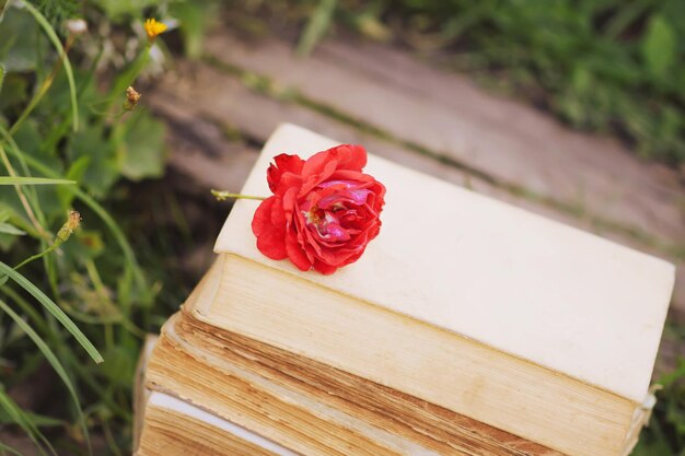 Carte vintage avec pile de vieux livres et fleur rose rouge à l'extérieur