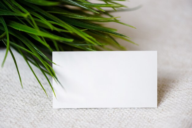 Carte de visite vierge dans l'herbe