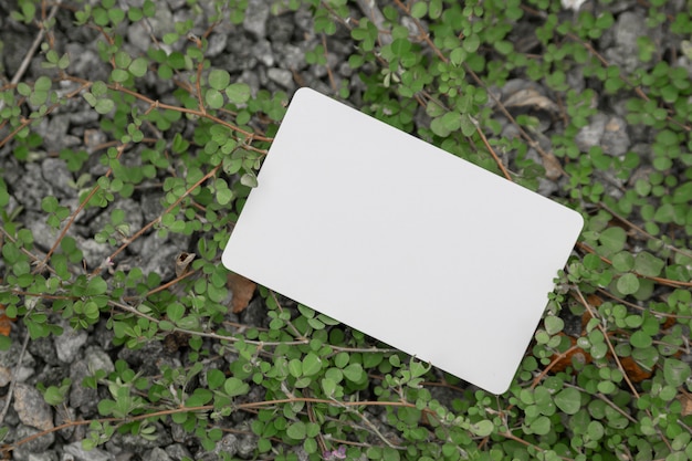 Carte de visite vierge sur l'herbe