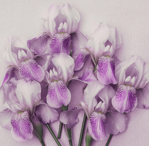 Carte de voeux avec un beau bouquet d'iris violets