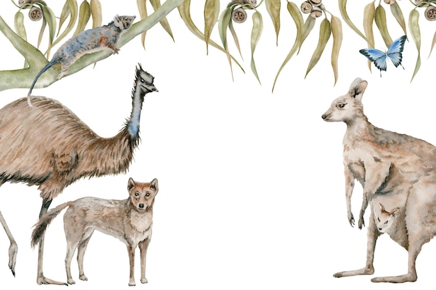 Photo carte de vœux d'ému et de kangourou avec un dingo et un opossum décorés de feuilles d'eucalyptus