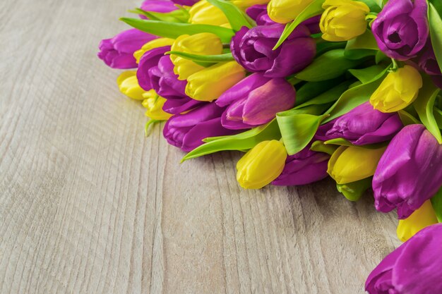 Carte de voeux festive avec bouquet de tulipes violettes et jaunes en fleurs. Mur de printemps avec espace copie.