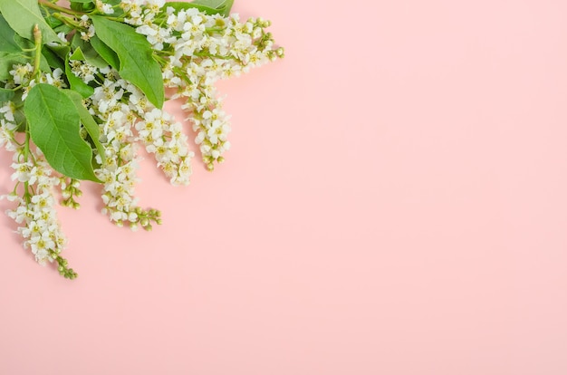 Carte de voeux, fleurs délicates sur rose