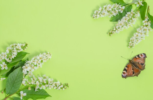 Carte de voeux, fleurs délicates sur un vert