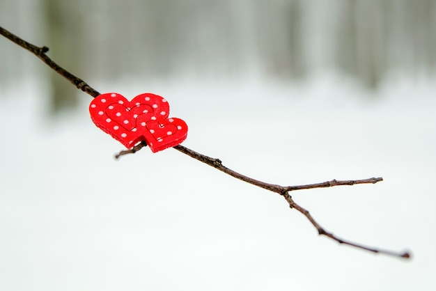 Carte de voeux joyeuse saint valentin ou bannière coeurs rouges sur une branche d'un arbre enneigé en hiver