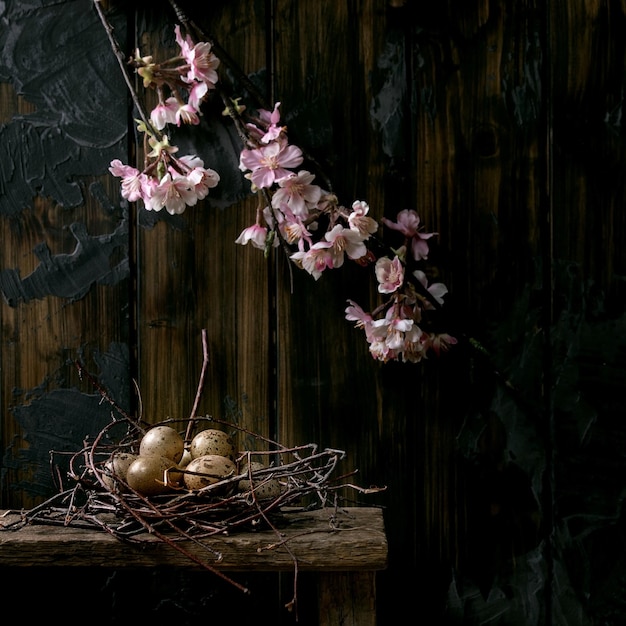 Carte de voeux de Pâques nature morte rustique sombre avec des oeufs de caille dans le nid et la branche de cerisier en fleurs. Fond en bois foncé. Période de vacances de Pâques. Copiez l'espace. Image carrée