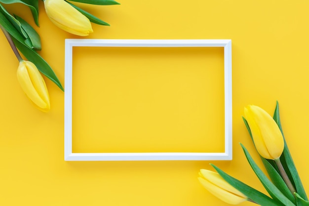 Carte de vœux à plat avec espace pour le texte Cadre photo et fleurs de tulipes jaunes sur fond jaune Concept de vacances de printemps