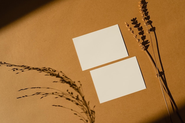 Des cartes de feuilles de papier blanches avec un mock-up d'espace de copie, de l'herbe de fleurs sèches et des ombres de lumière du soleil sur un fond orange, une vue supérieure plate, une esthétique minimale, un modèle de marque d'entreprise.