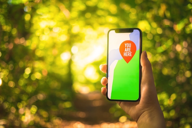 Cartes sur le smartphone en arrière-plan de la forêt. Navigation en plein air, randonnée en forêt concept photo