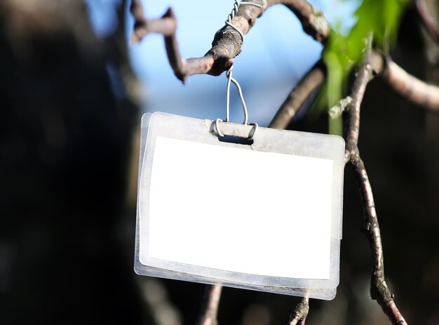 Carton vide blanc accroché à la branche d'arbre